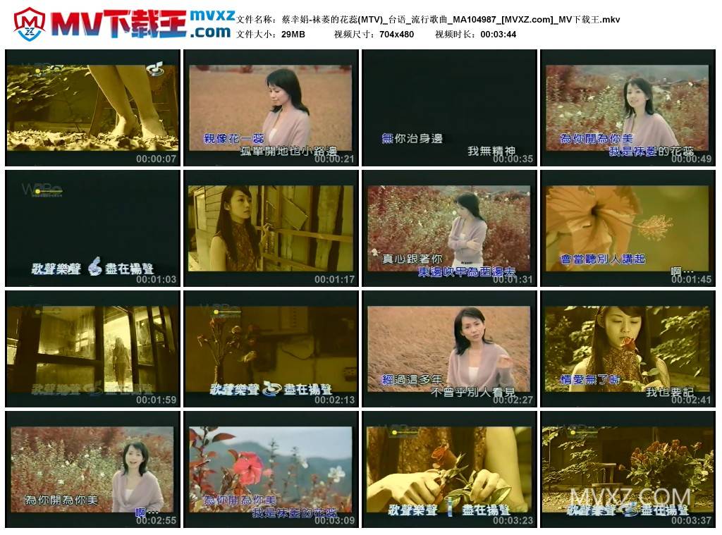 蔡幸娟-袜萎的花蕊(MTV)_台语_流行歌曲_MA104987